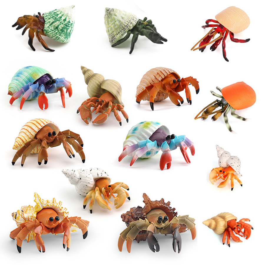 Realistic Hermit Crab Figurine - đánh giá và giá Kids Toys China